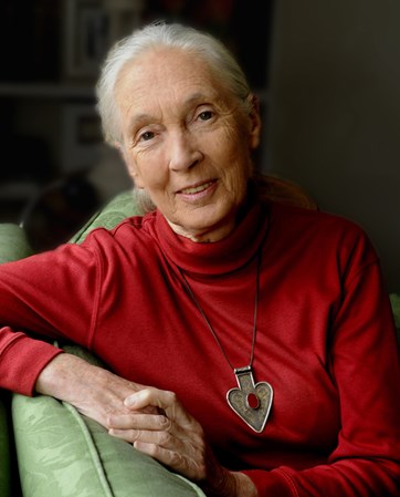 Jane Goodall - Speaker